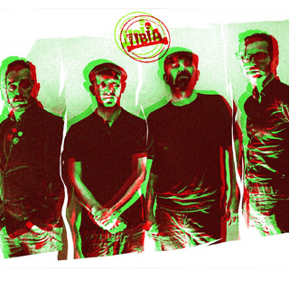 tibia